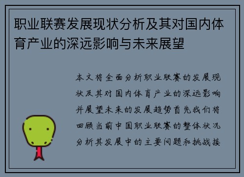 职业联赛发展现状分析及其对国内体育产业的深远影响与未来展望